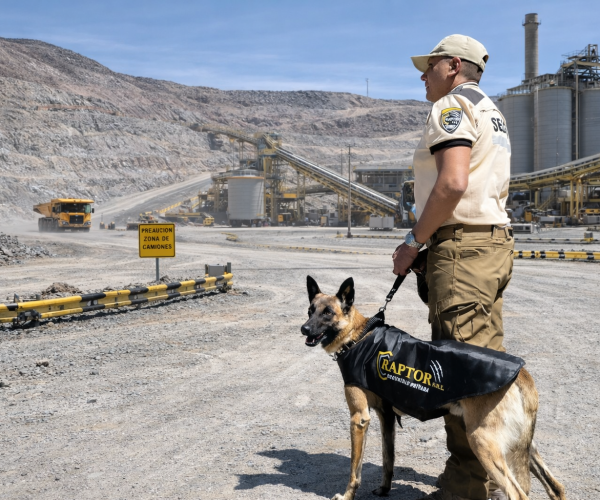 ChatGPT Image 9 feb 2026, 11_23_54 p.m. ChatGPT Image 9 feb 2026, 11_23_54 p.m.